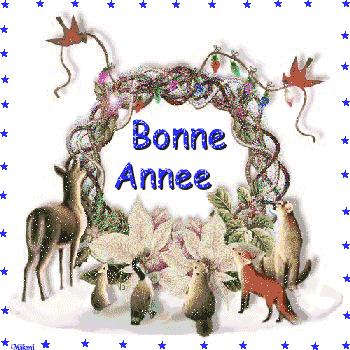 bonne année 2008