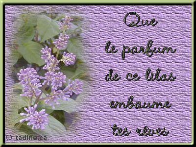 parfun de fleurs
